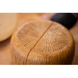 Formaggio di capra semistagionato