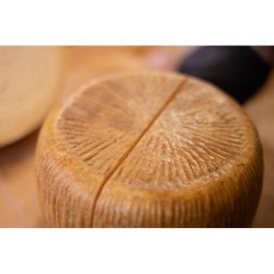 Il Formaggio Fior dei Latti