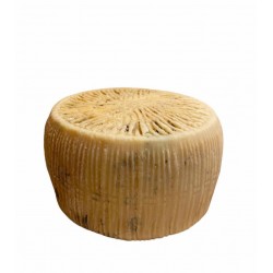 Pecorino semistagionato forma piccola