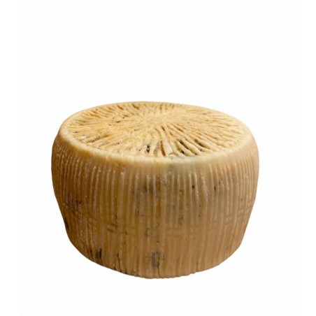 Pecorino semistagionato forma piccola
