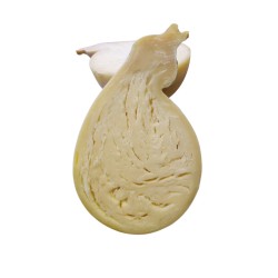 Caciocavallo stagionato in grotta