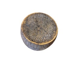 Formaggio di capra stagionato
