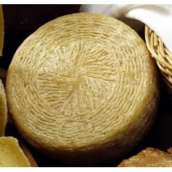 Pecorino Pugliese