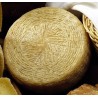 Pecorino Pugliese