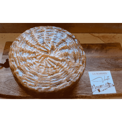 Canestrato Foggiano