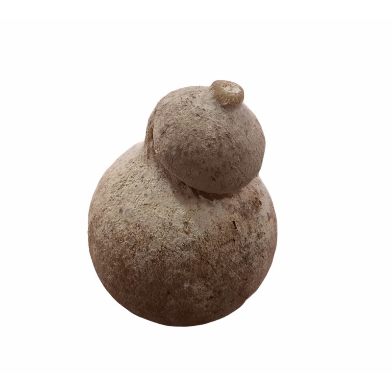 Caciocavallo di Grotta Caciocavallo di Grotta