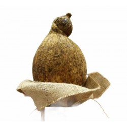 Caciocavallo stagionato in grotta