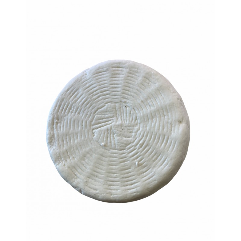 Cacioricotta pugliese Cacioricotta pugliese